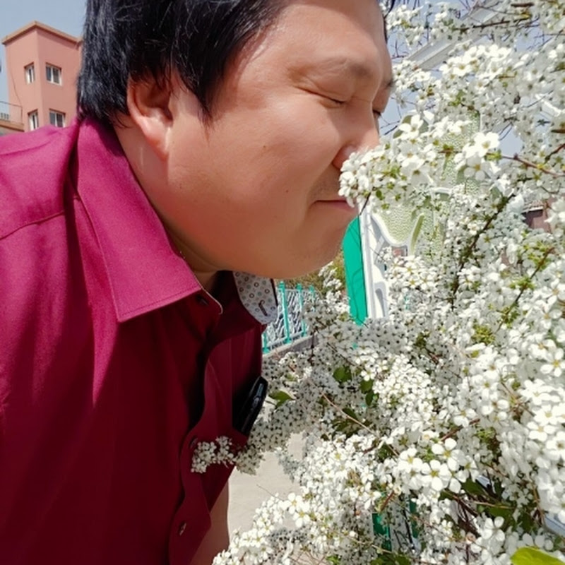 조율킹