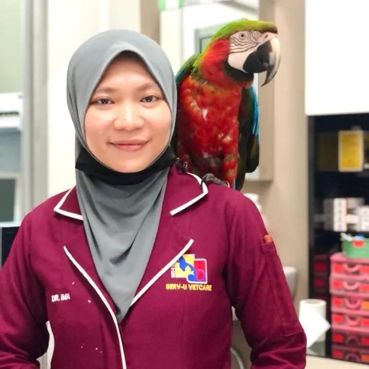 Dr Salehatul Khuzaimah