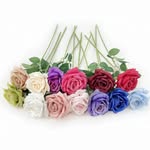 Qingdao Flowery Crafts Co.,Ltd(Prohibit continuous likes)