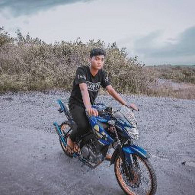 DZDP official