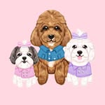 Pixie • Callie • Bronnie