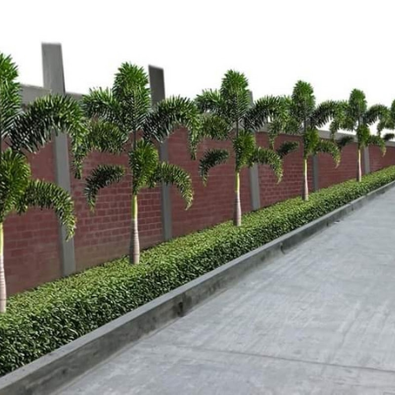 আল্লাহর দান নার্সারি 