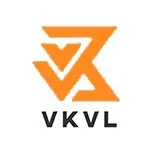 VKVL WIGS HUMAN HAIR