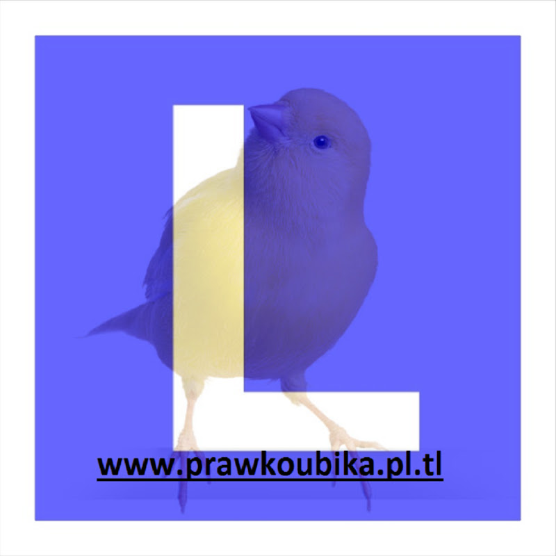 Świat OKiem Instruktora