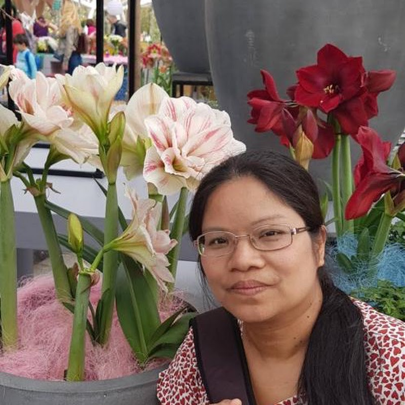 ชีวิตติดดิน in Germany 🇩🇪