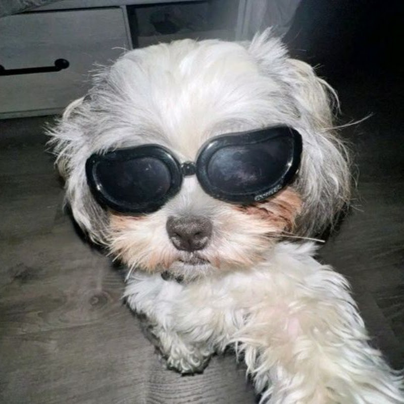 Totino