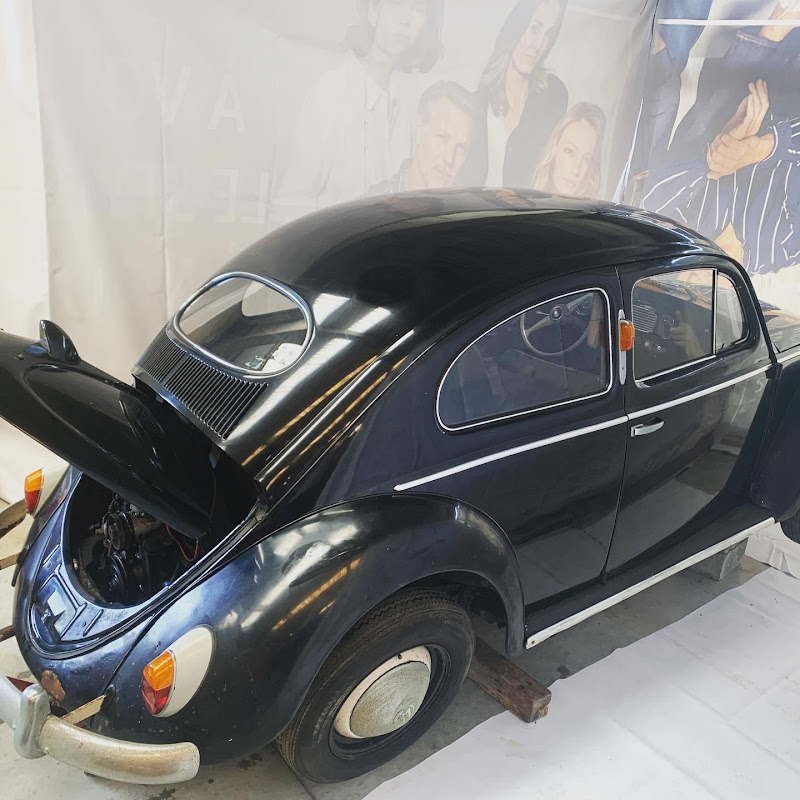 VW-BEETLE-OVAL-1955