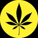 Medcan24.com