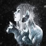 Synthe Belle