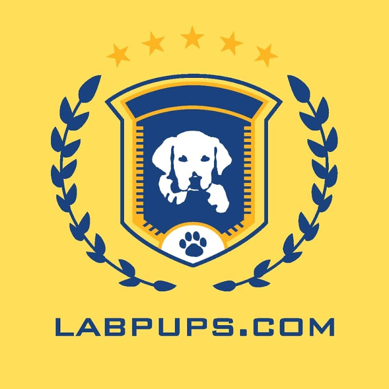 LabPups.com