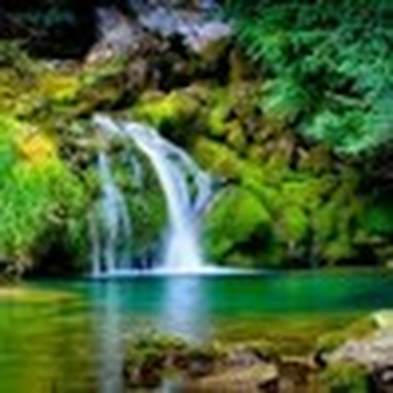 fan Văn Trường Vlog