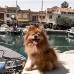 👑 R E I N A
