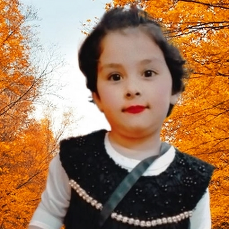Bacha Party