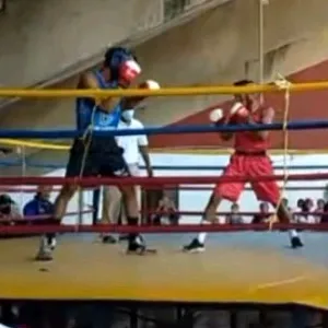 Nerio | Boxing Club