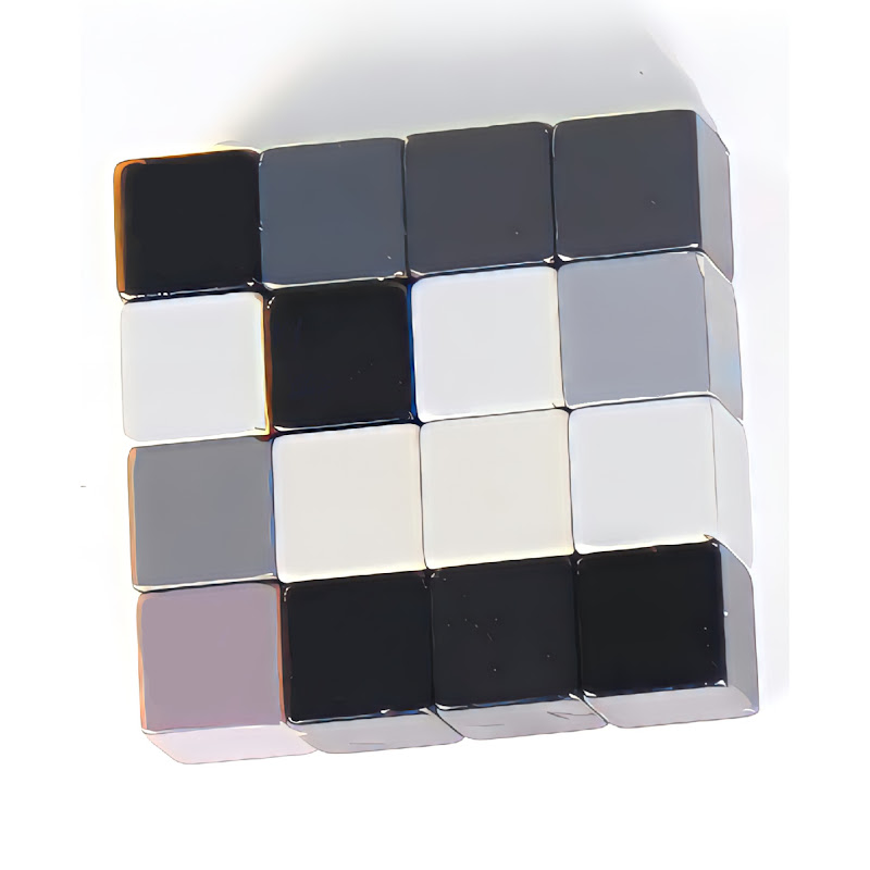 Magnetic Portrait 