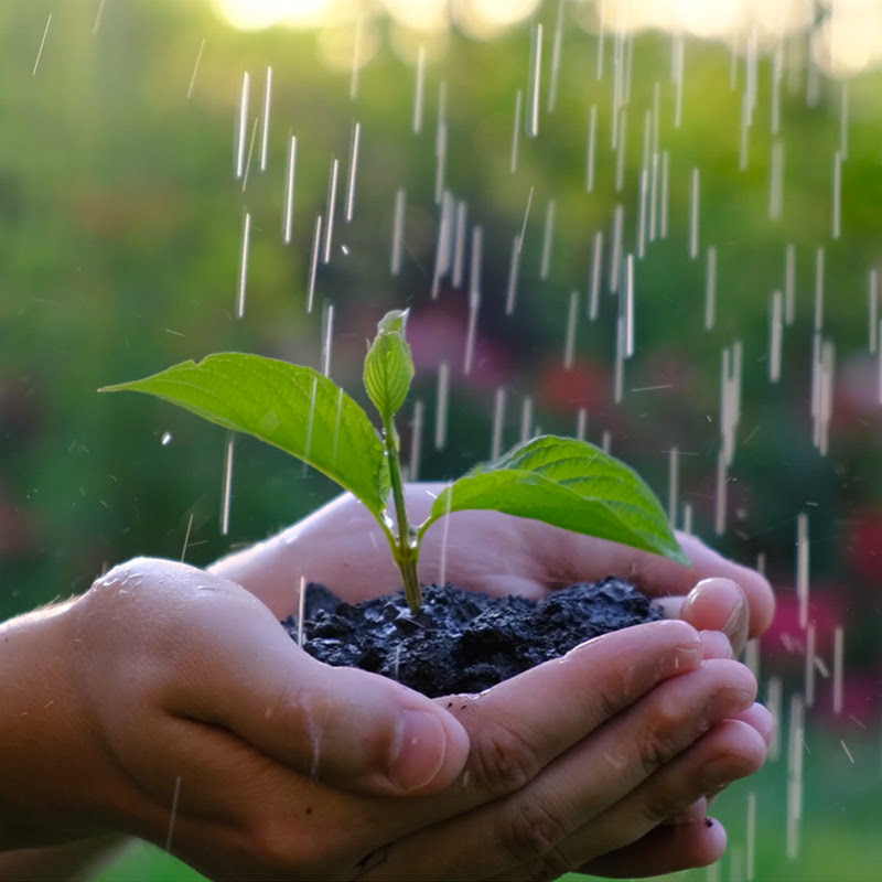 【雨の音】Relaxing Piano & Rain Sounds 🌧️
