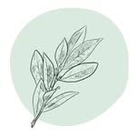 Kamila | Skincare Enthusiast