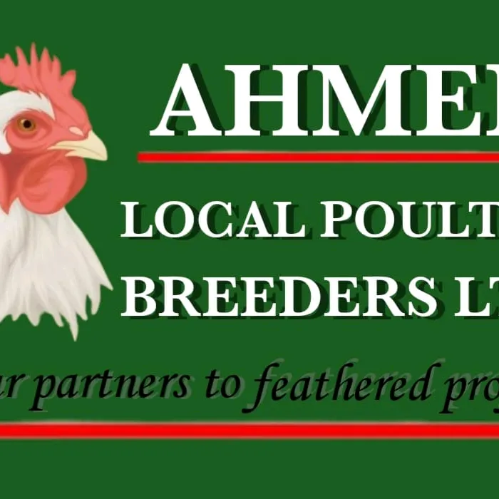 Ahmed Local Poultry Breeders
