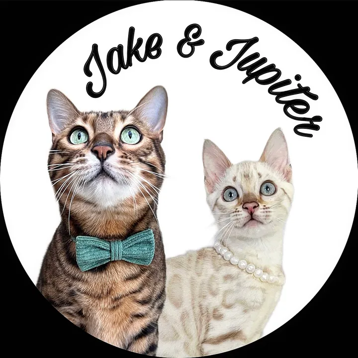 jake.the.bengal 🇨🇦