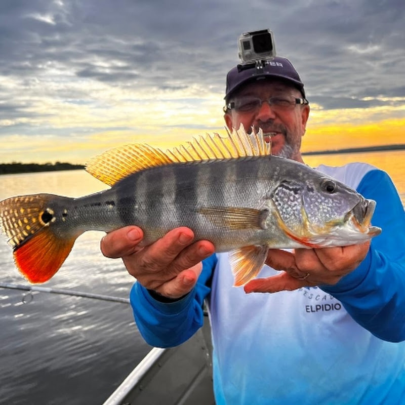 Elpidio Pescador 