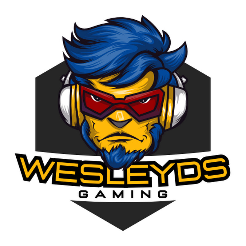 WesleyDS Gaming
