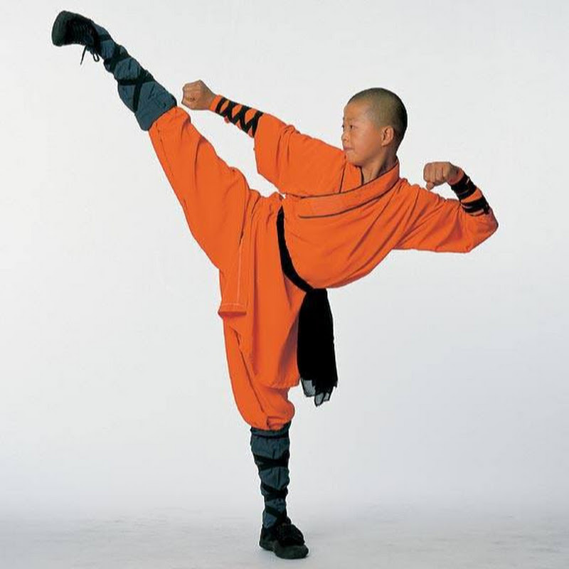 Kung Fu Shaolin Wudang Escuela de Artes Marciales