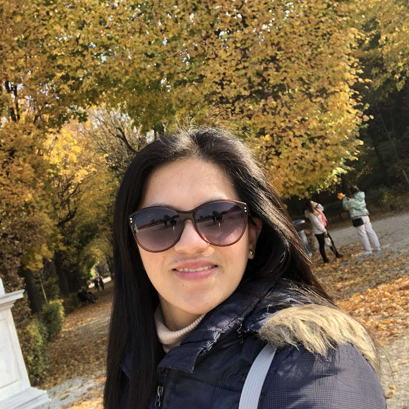 Lingbanan in Vienna