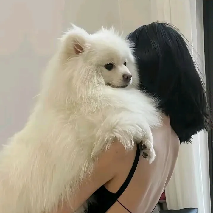 mengpo