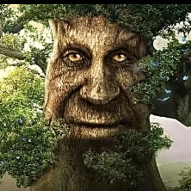 люблю булочки 👌😈🥖🥨🥐🥐🥐