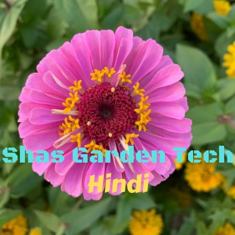 Shas Garden Tech- Hindi