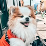 Bailey