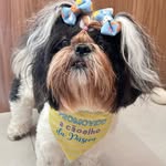 Pétra | Pequena Aventureira