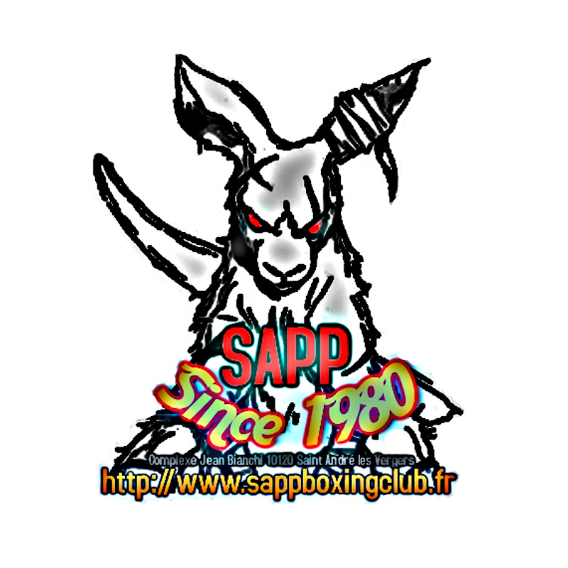 Flo Sapp Boxing Channel