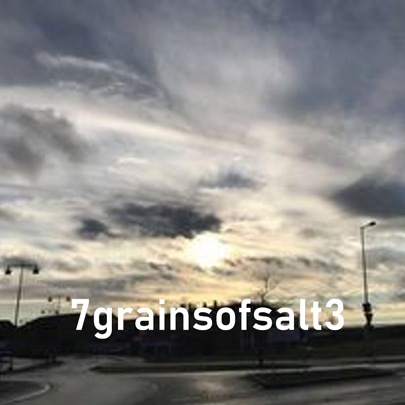 7grainsofsalt 3