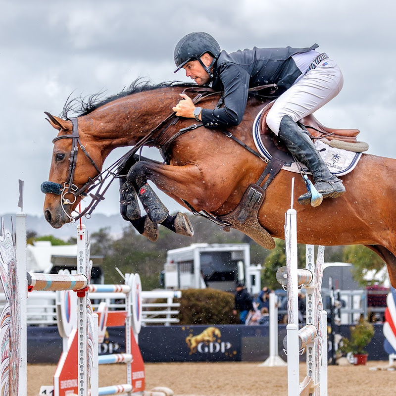 Equestrian Life