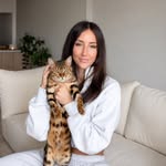 Cleo the Bengal • Petfluencer