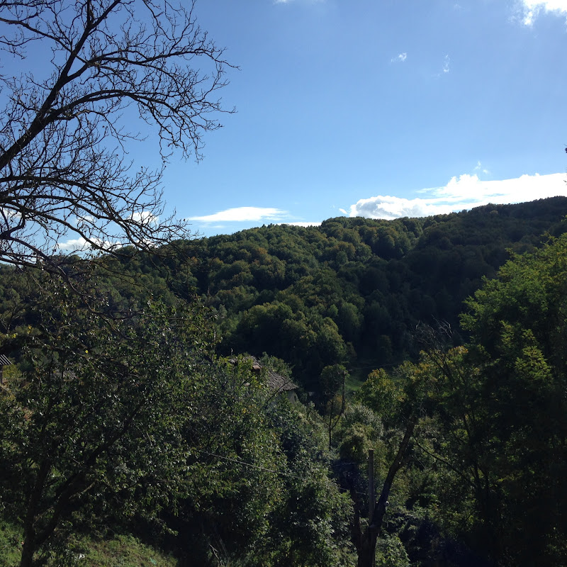  Blizzard Wind Channel