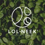 Microgreens - Huerto Urbano