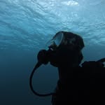 Roy M - Scuba Diving Nusa Penida