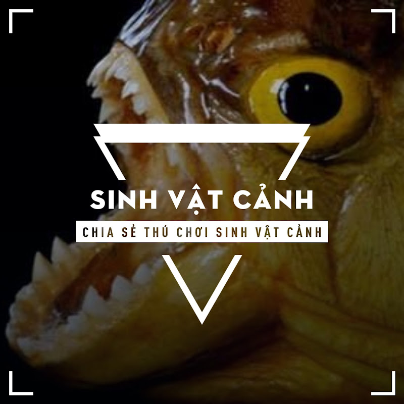 Sinh vật cảnh Channel
