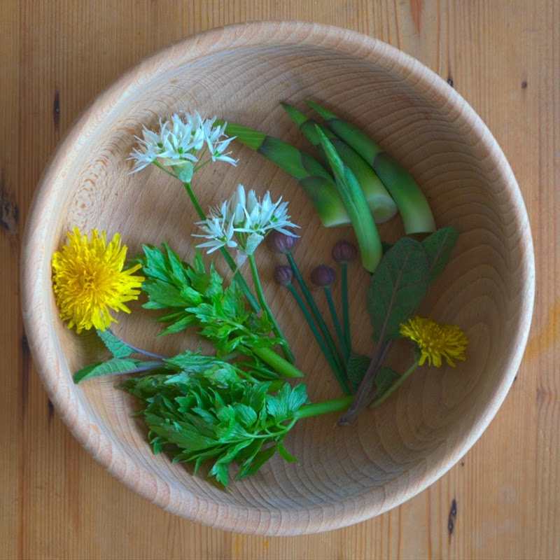 Garden Cookbook