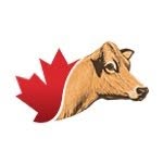Jersey Canada