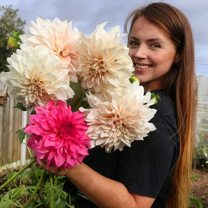 bloomsandgreensbychloe