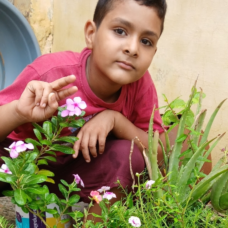 Savita kundu gardening 