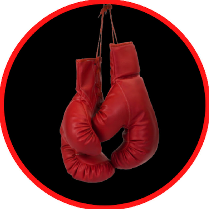 Compañeros de Boxeo