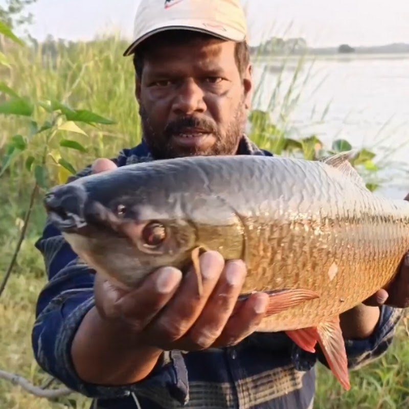 ATN Fishing