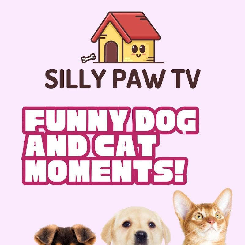 silly paw tv