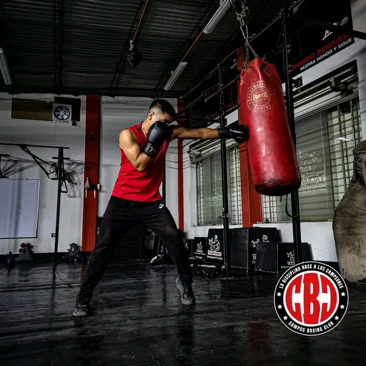 El domador 🥊