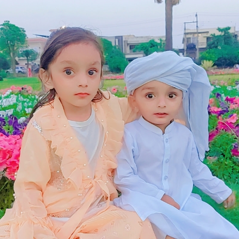 Madni Mahnoor Shorts