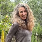 Ori Shavit